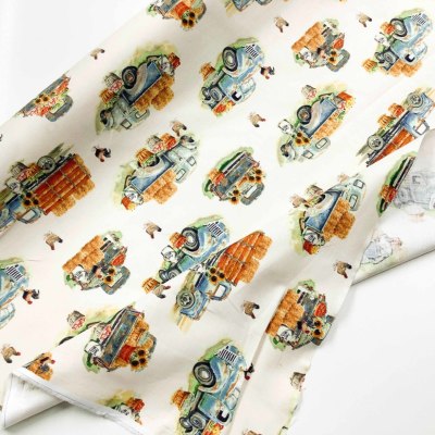 �J���[�o���G�[�V����