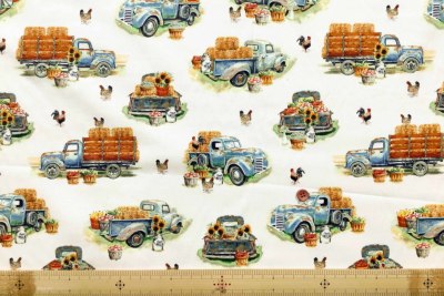 �J���[�o���G�[�V����