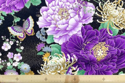 �J���[�o���G�[�V����