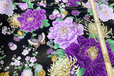 �J���[�o���G�[�V����